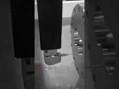 Extrusor de doble tornillo de acero inoxidable para alimentos hinchados